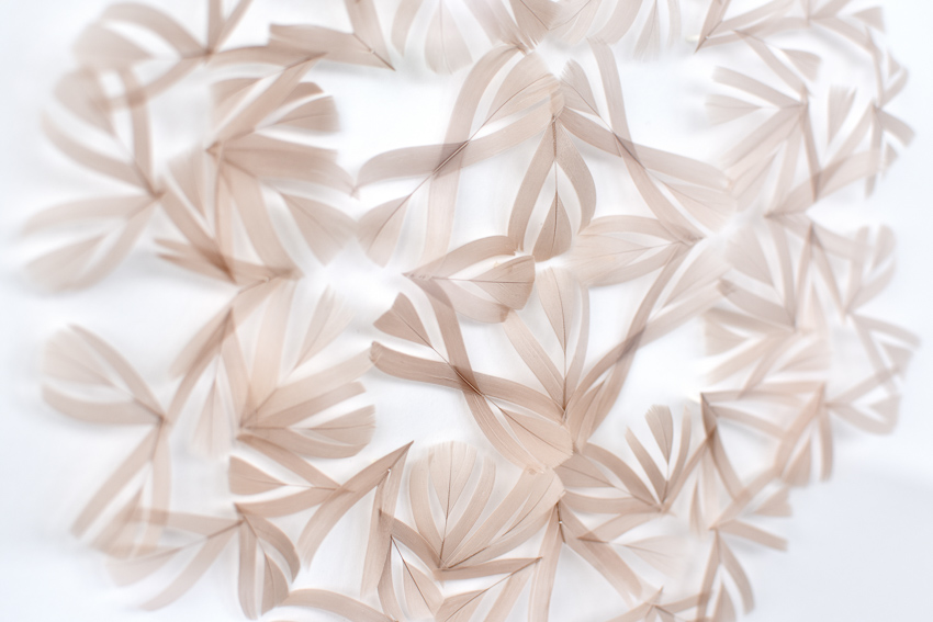 Respirations Tableau Rose in hand cut beige goose feathers by Janaïna Milheiro for RUNE, New York.