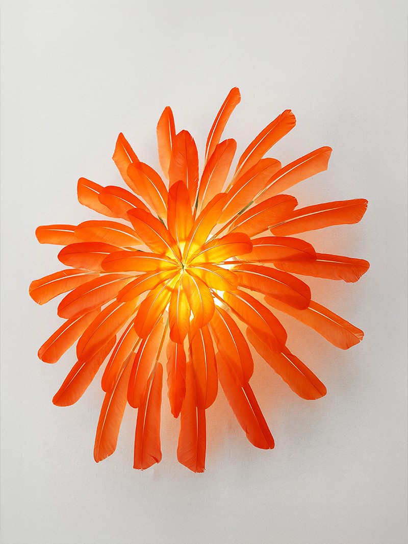 Illuminated vermillion feathers are composed into a wall sconce by French artist Janaïna Milheiro & radiate with a warm glow, available through RUNE, New York.