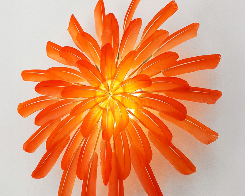 Illuminated vermillion feathers are composed into a wall sconce by French artist Janaïna Milheiro & radiate with a warm glow, available through RUNE, New York.