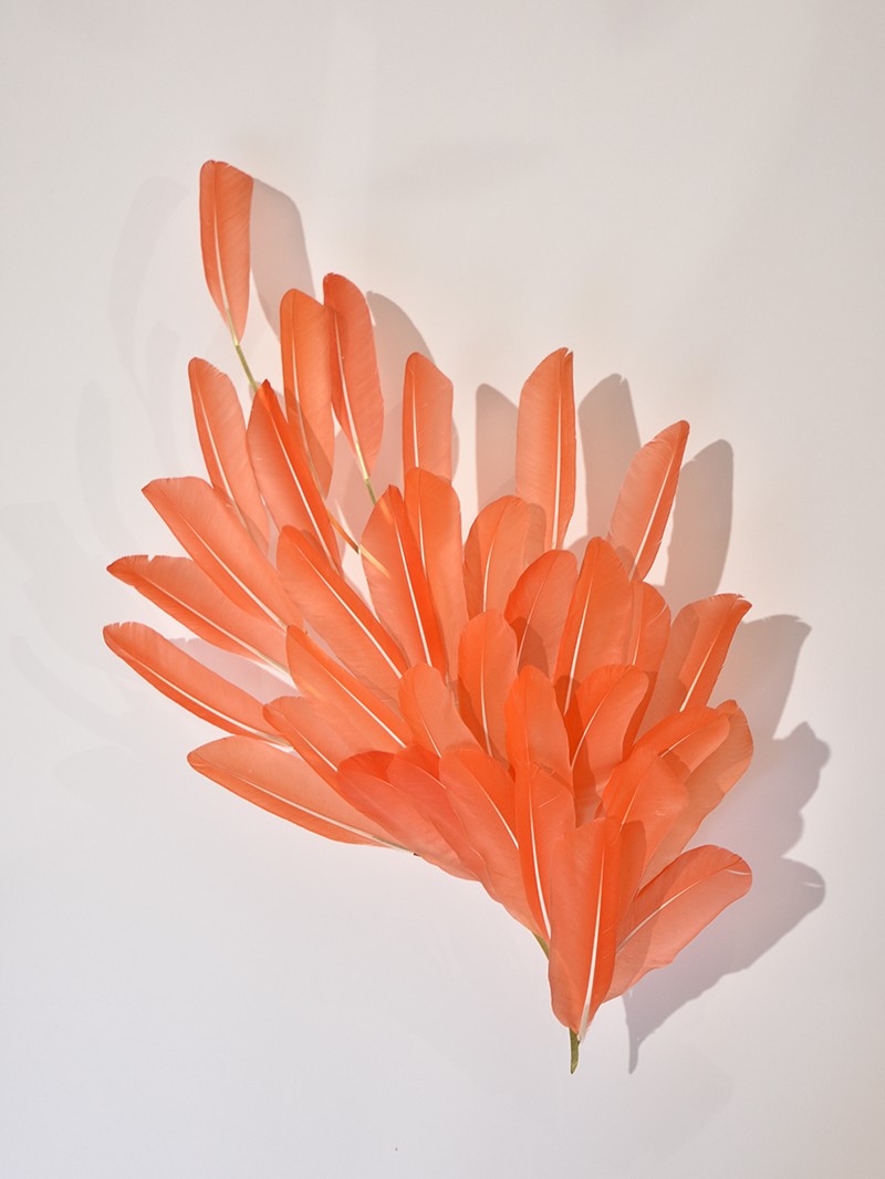 Sculptural feather wall sconce in coral pink by feather artist Janaïna Milheiro available through RUNE, New York.