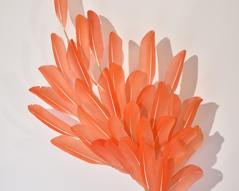 Sculptural feather wall sconce in coral pink by feather artist Janaïna Milheiro available through RUNE, New York.